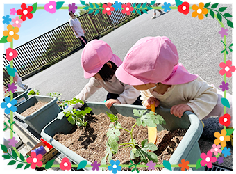 ビオスキッズ保育園 奈良県三郷